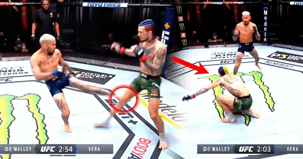 The Perineal Nerve. How One Leg Kick Can Change a Fight