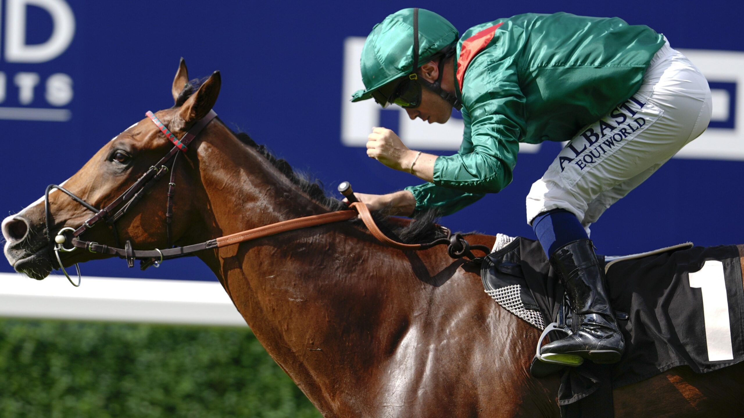 Cartier Racing Awards: Calandagan named horse of the year