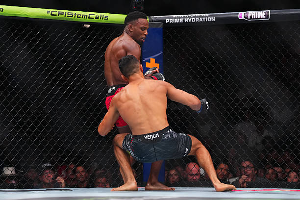 Watch: Olympic Wrestler and UFC Champ Panicked By BRUTAL Knockout at UFC 319