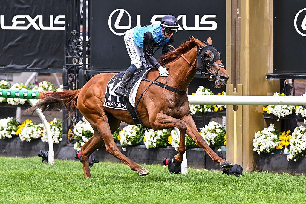 Half Yours wins Melbourne Cup