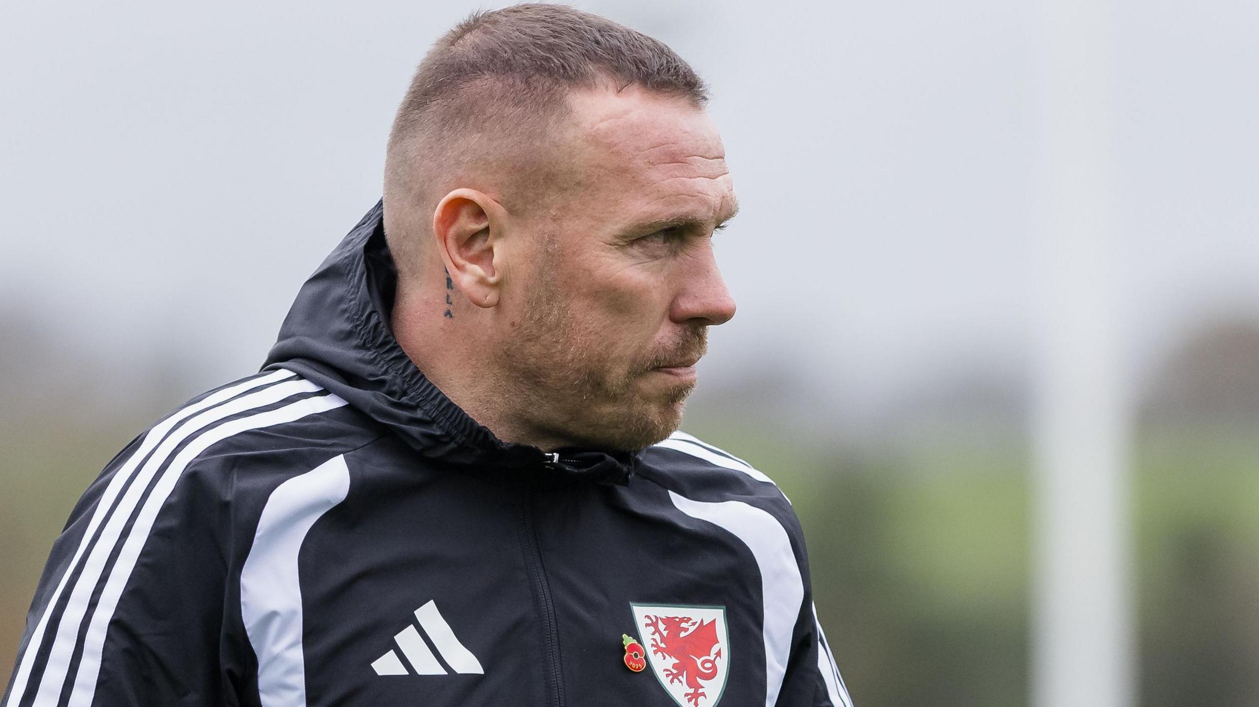 Liechtenstein v Wales: Banned boss Craig Bellamy's fire still burns