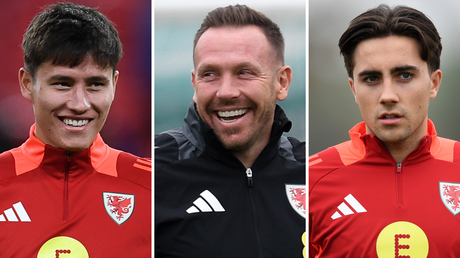 World Cup qualifying: Cardiff City’s youth and style a ‘dream’ for Wales boss Craig Bellamy