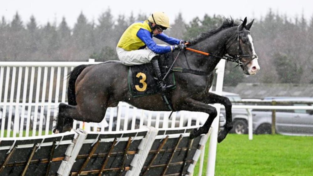 300-1 shot Blowers becomes longest-priced UK winner