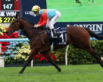 Romantic Warrior, Ka Ying Rising gleam in Hong Kong