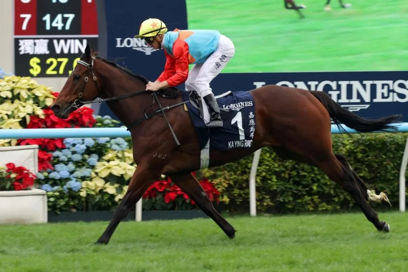 Romantic Warrior, Ka Ying Rising gleam in Hong Kong