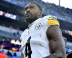 Steelers' Metcalf appears to punch fan during game