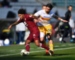 Serie A | Torino 1-0 Lecce: Ché Adams revives the Granata